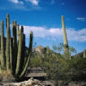 Meet your Posher, Jess